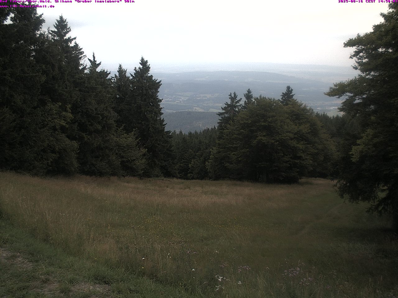 cam_31_2025-08-16_14-53-32.jpg