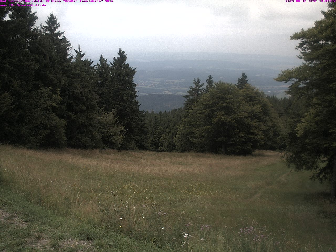 cam_31_2025-08-16_15-00-45.jpg