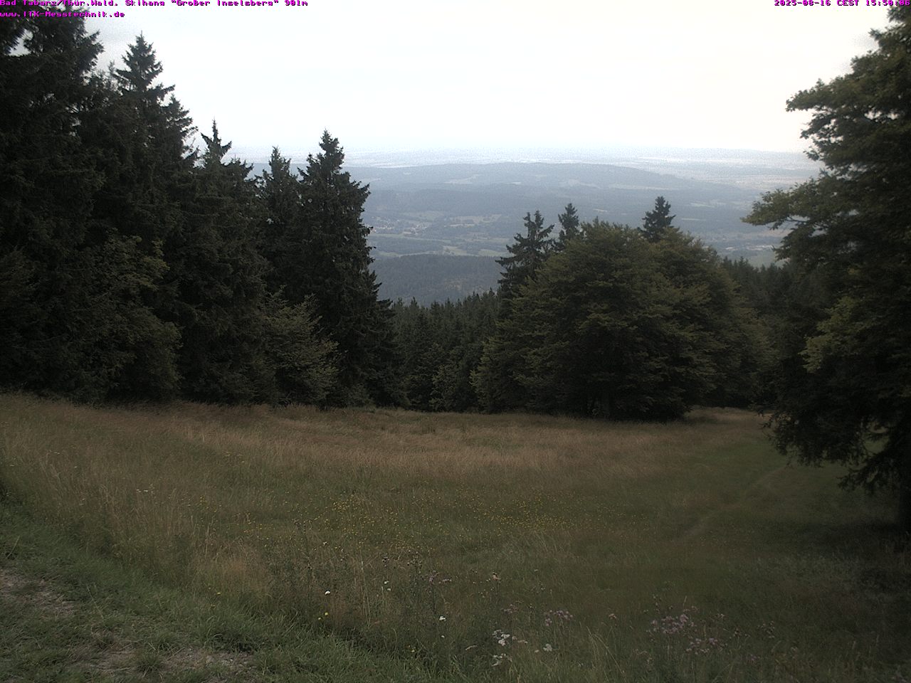 cam_31_2025-08-16_15-52-32.jpg