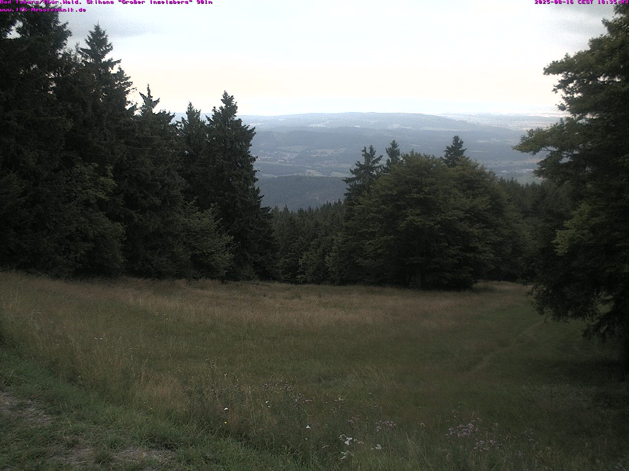 cam_31_2025-08-16_18-35-31.jpg