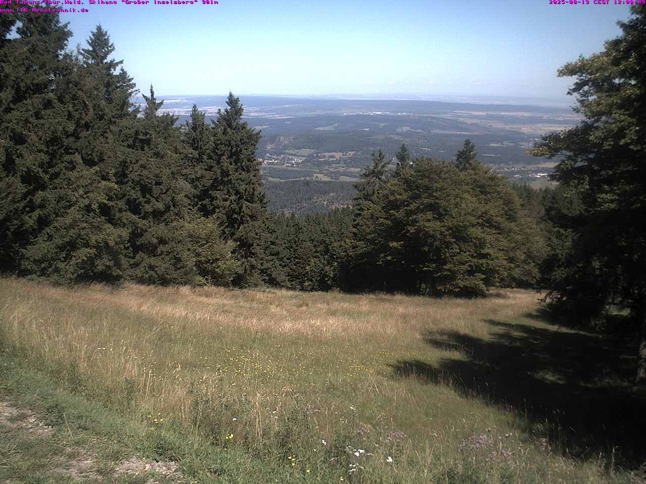 cam_31_2025-08-19_12-00-02.jpg