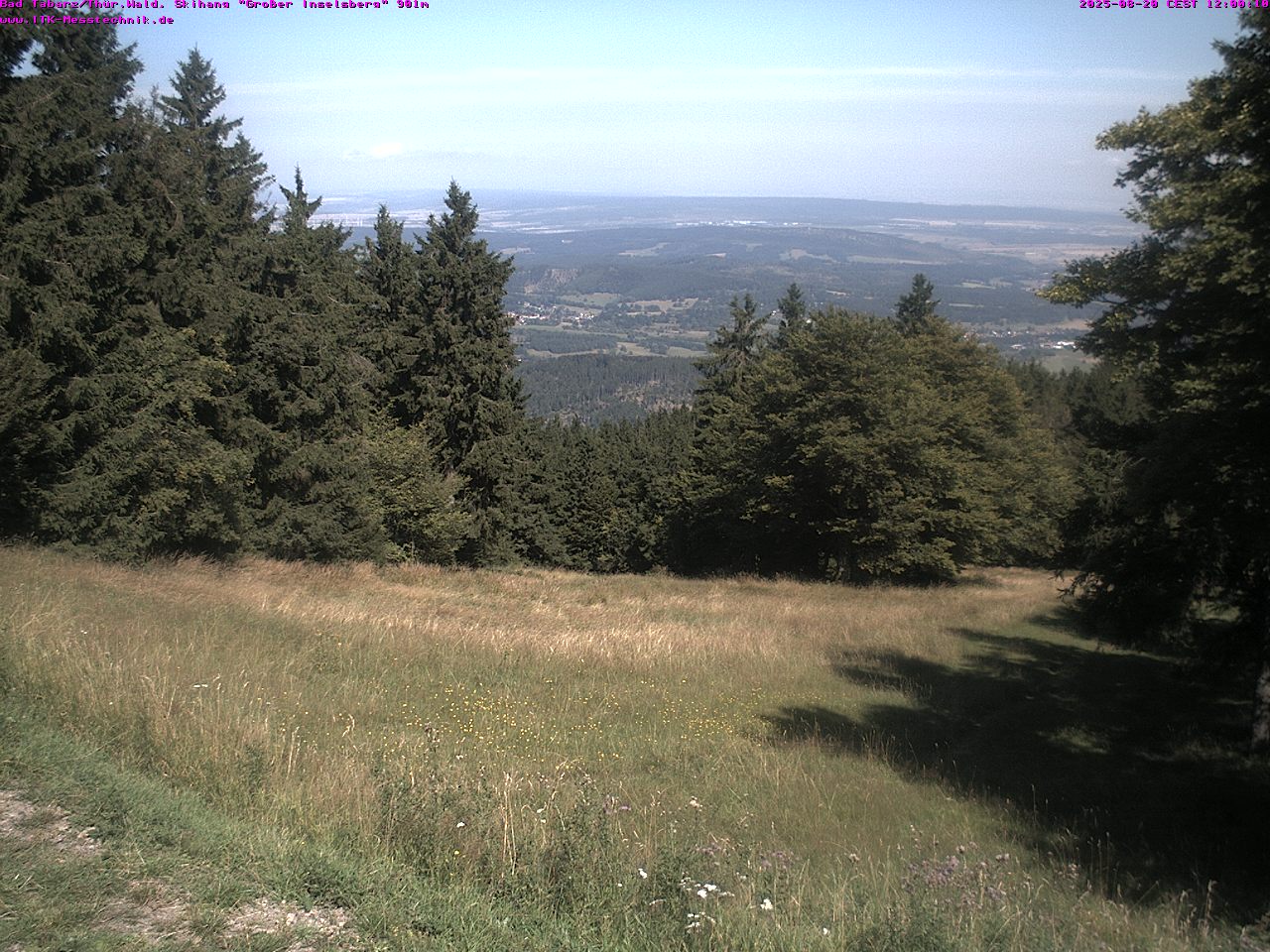 cam_31_2025-08-20_12-00-02.jpg