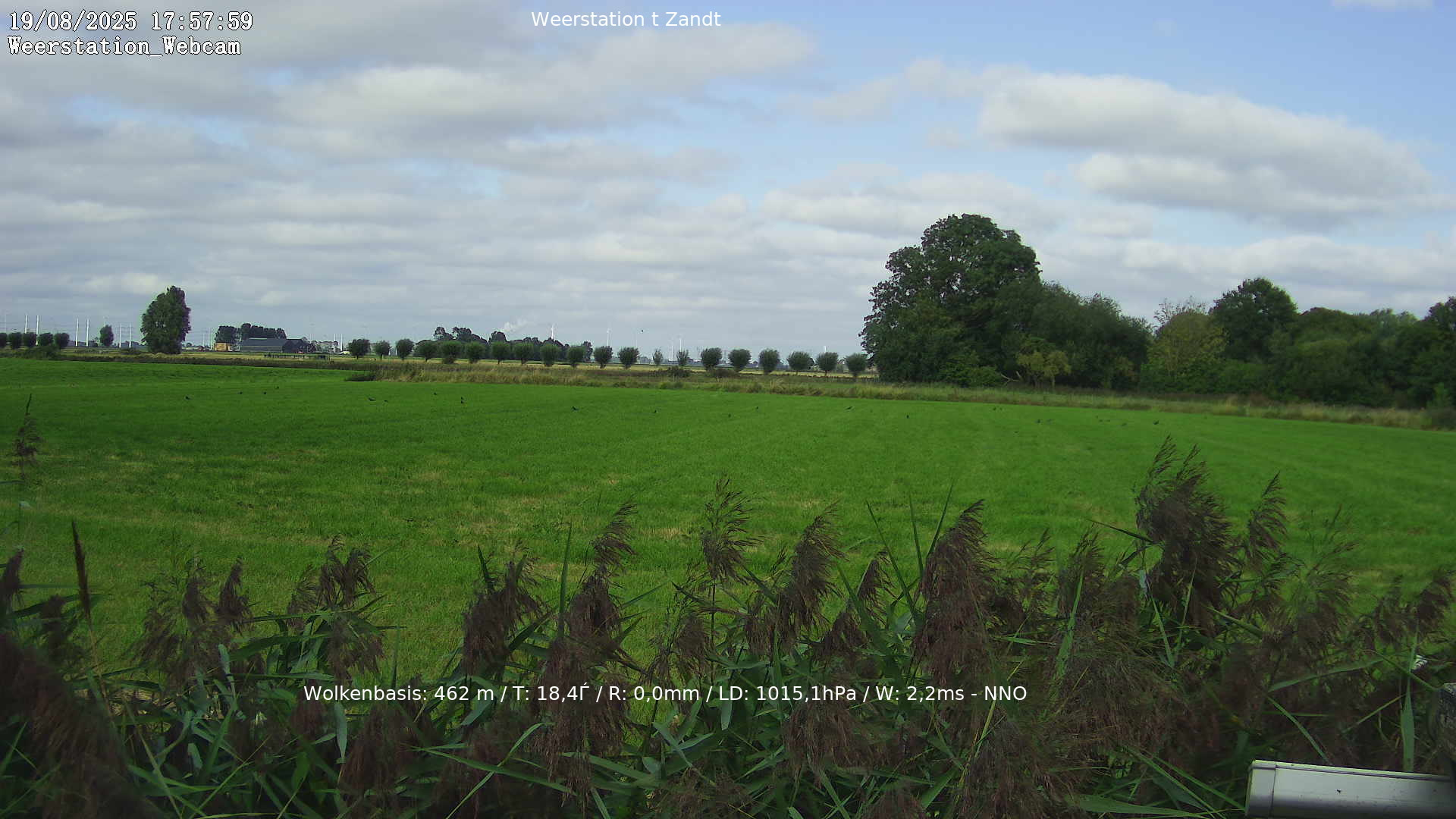 cam_32_2025-08-19_18-00-02.jpg