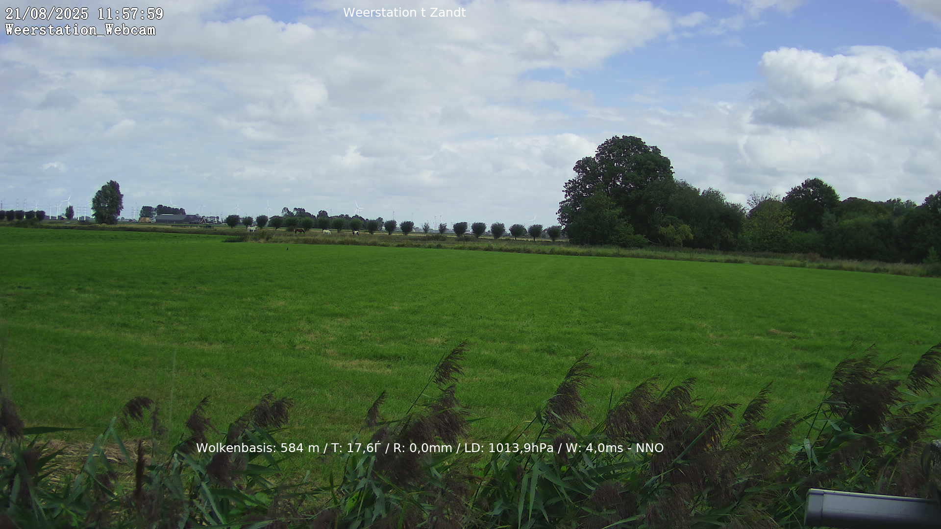 cam_32_2025-08-21_12-00-02.jpg