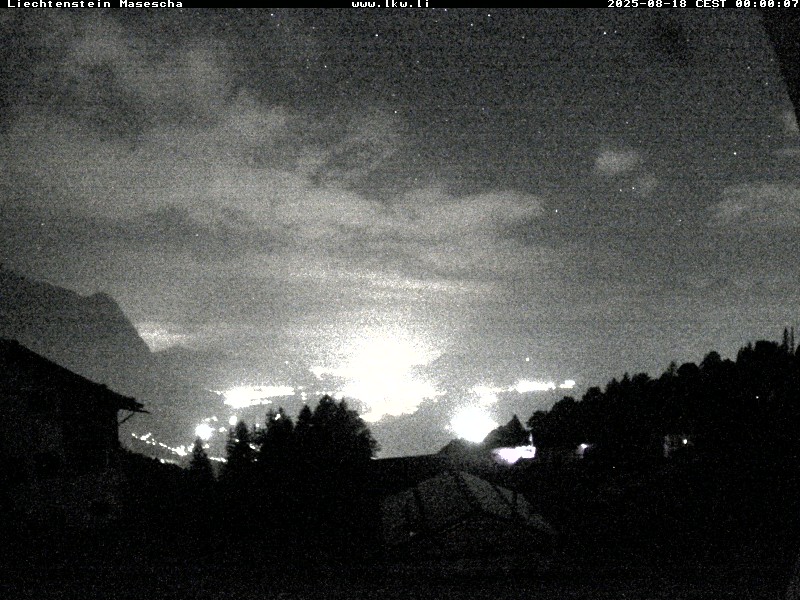 cam_33_2025-08-18_00-00-02.jpg