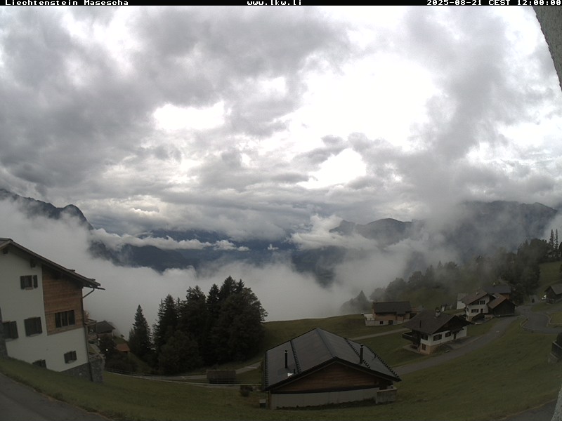 cam_33_2025-08-21_12-00-02.jpg