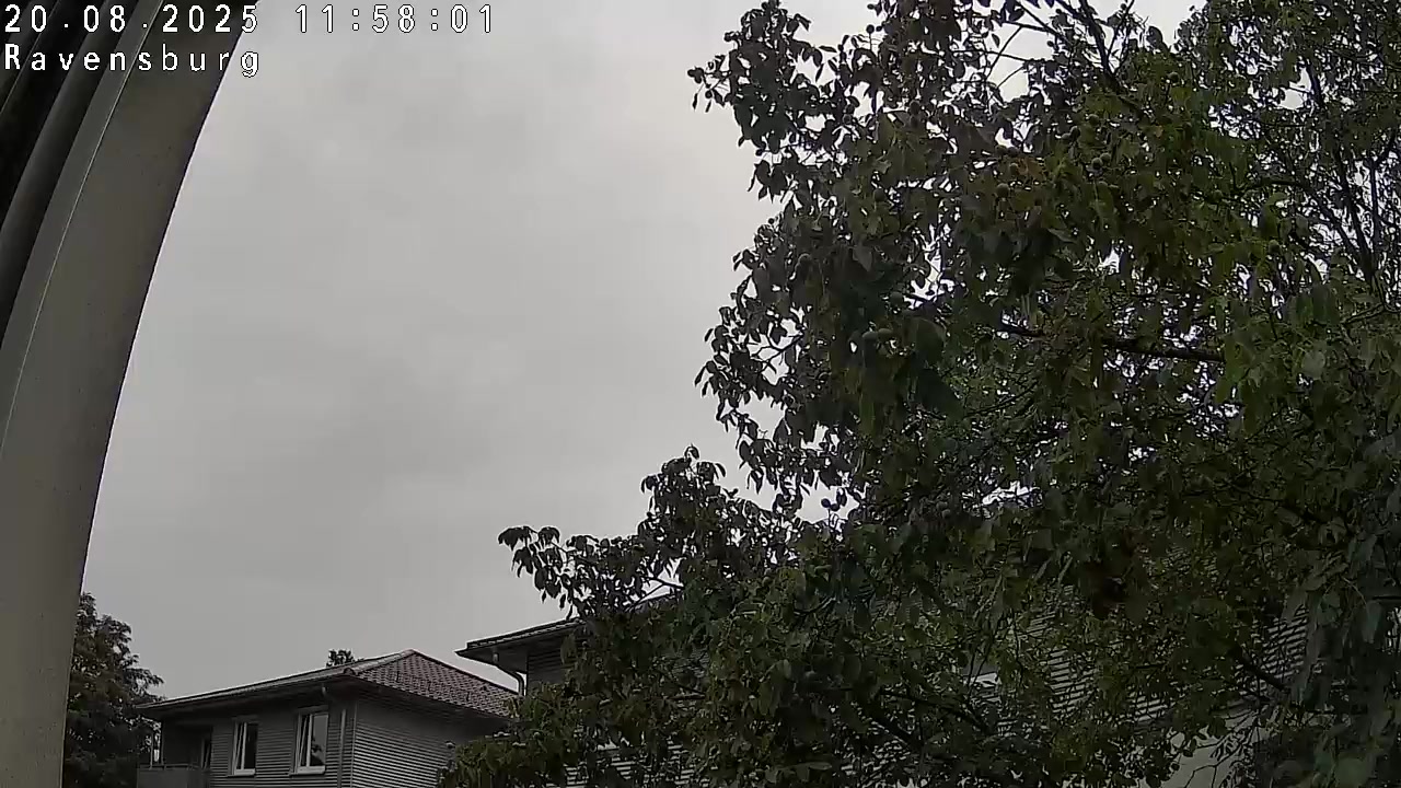 cam_36_2025-08-20_12-00-02.jpg