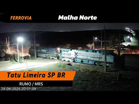 TREM AO VIVO TATU LIMEIRA