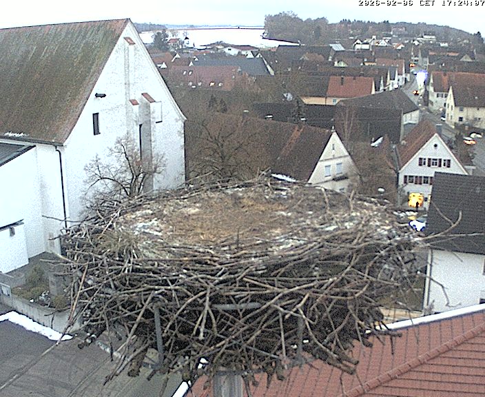 Jettingen-Scheppach Storch