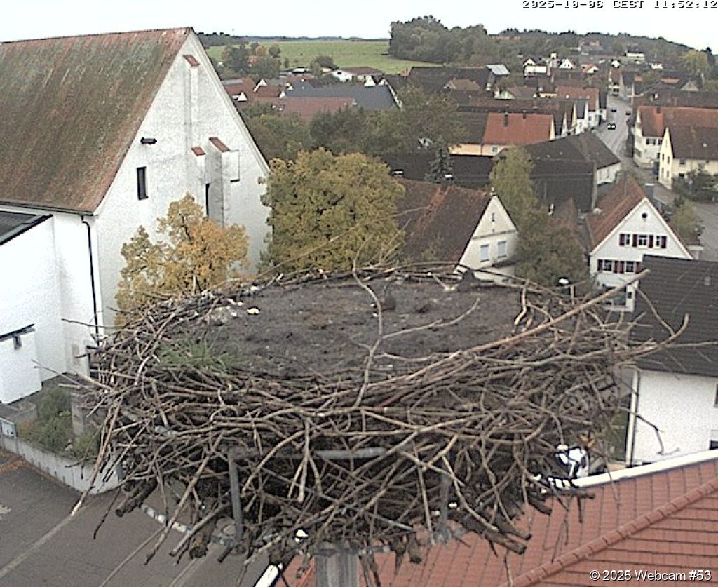 Webcam: Jettingen-Scheppach Storch