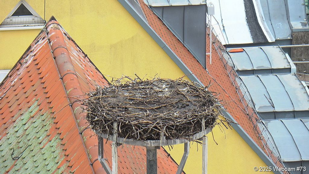 Crailsheimer Weißstorch
